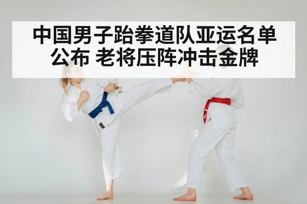 taekwondo training